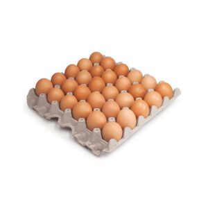 Bandeja de huevos extra grande - 30 Unidades