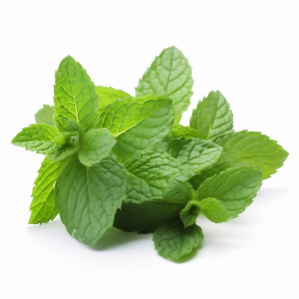 green mint leaves isolated on white. AI generated content