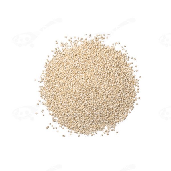 semilla_de_quinoa_blanca