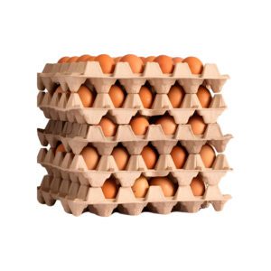 Caja de Huevos Extra - 180 Unidades