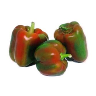 Morrón indeciso  x 3