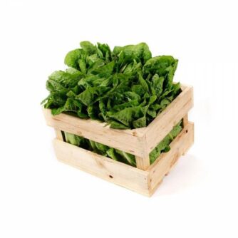Caja lechuga costina