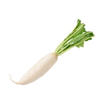 Nabo - Daikon - Rabano Blanco - Unidad