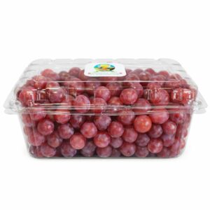 ChatGPT Image 3 feb 2026, 02_25_11 p.m.