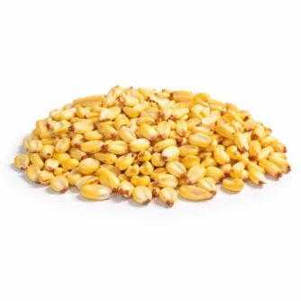 Maíz canchita carhuay peruano