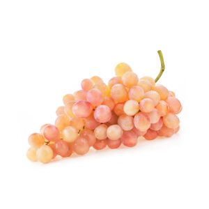 Uva Moscatel Rosada
