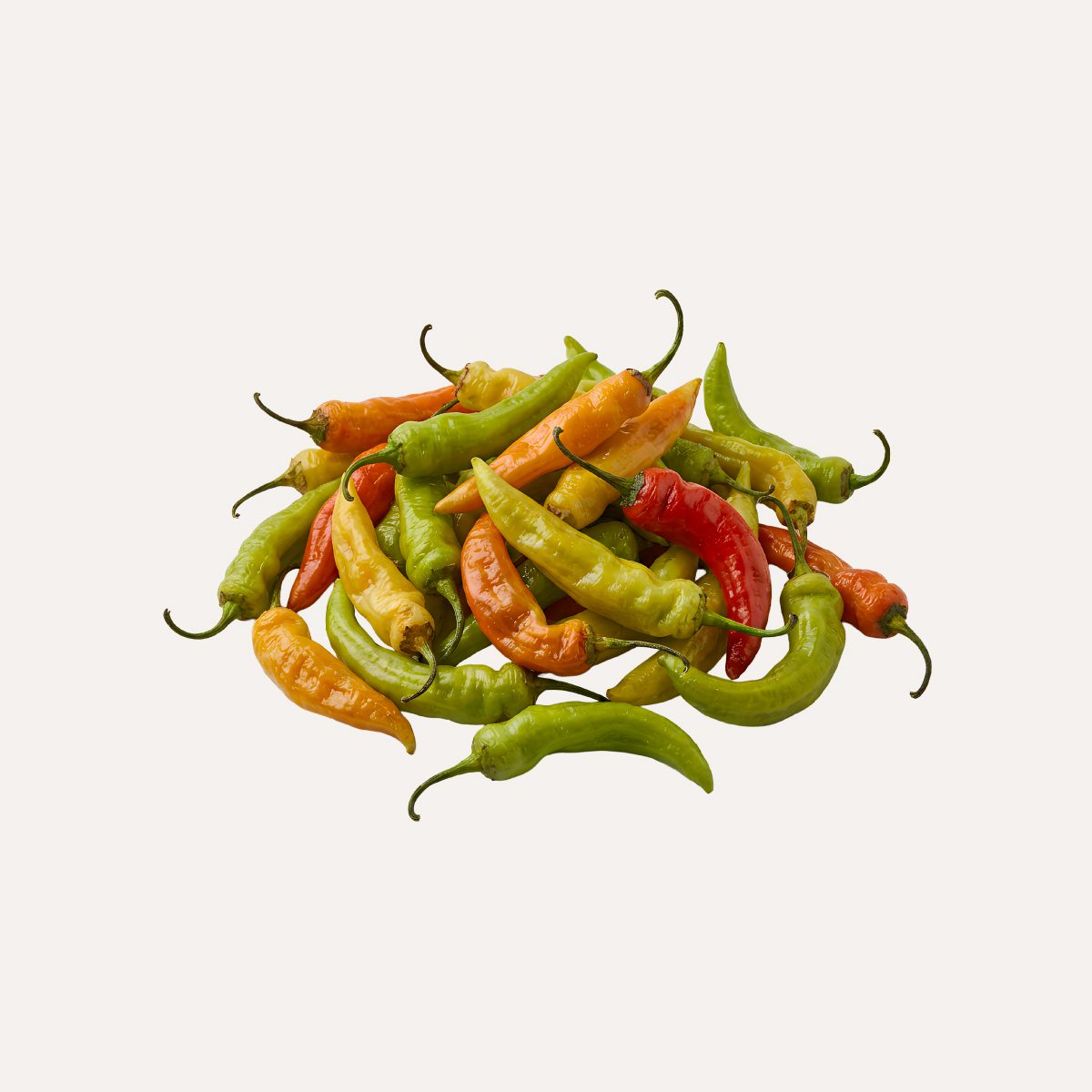 aji maduro aji maduro