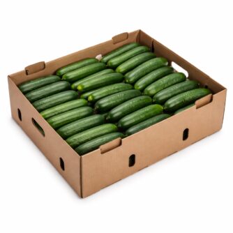 Caja de pepino ensalada