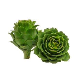 Alcachofa española