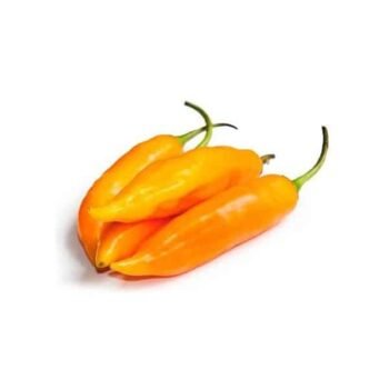 Aji amarillo