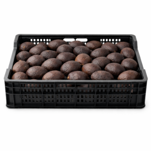 Gamela palta - 17 kg