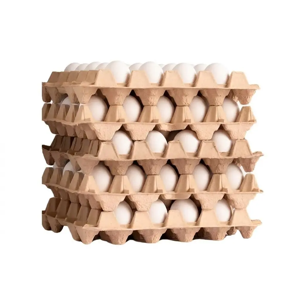 huevo blanco caja huevo blanco caja